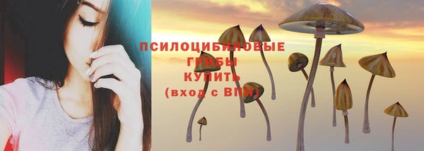 ECSTASY Алзамай