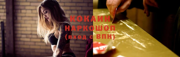 ECSTASY Алзамай