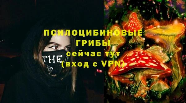 гашик Абинск