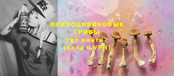 ECSTASY Алзамай