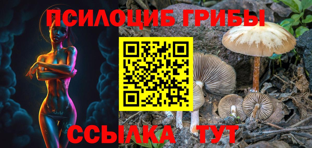Псилоцибиновые грибы GOLDEN TEACHER Юрга