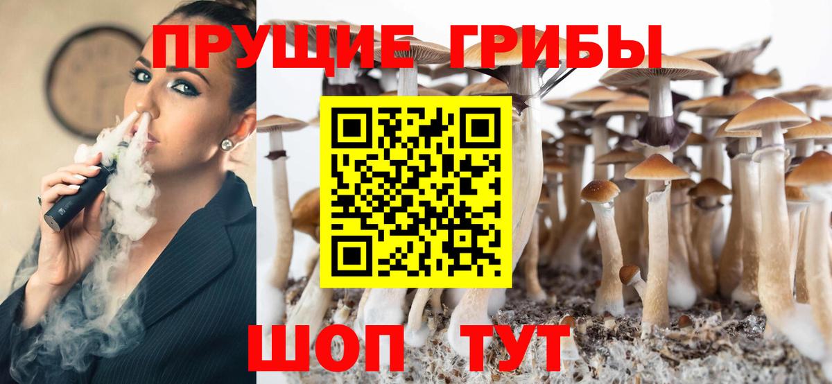 Юрга  Псилоцибиновые грибы мицелий  как найти   Вход с VPN  Псилоцибиновые грибы MAGIC MUSHROOMS 